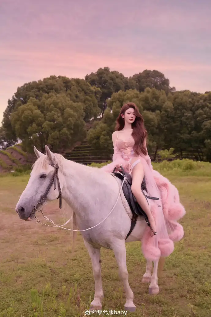 数字典当交易流程图